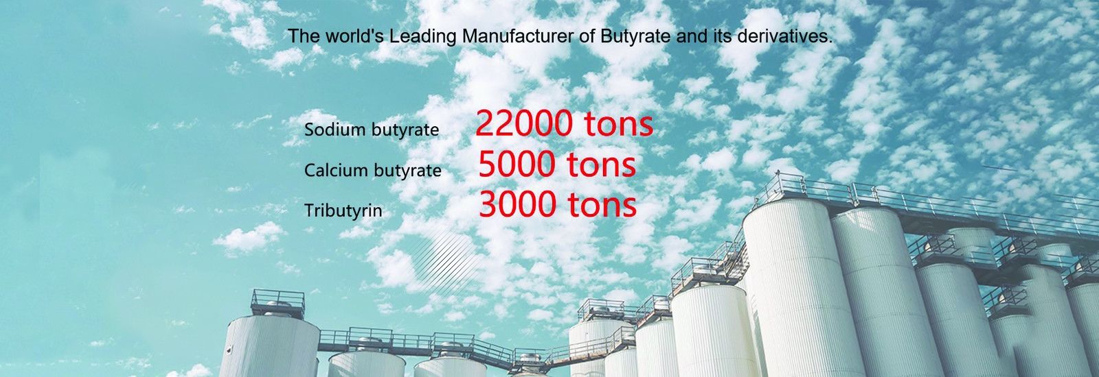 Poudre de butyrate de sodium