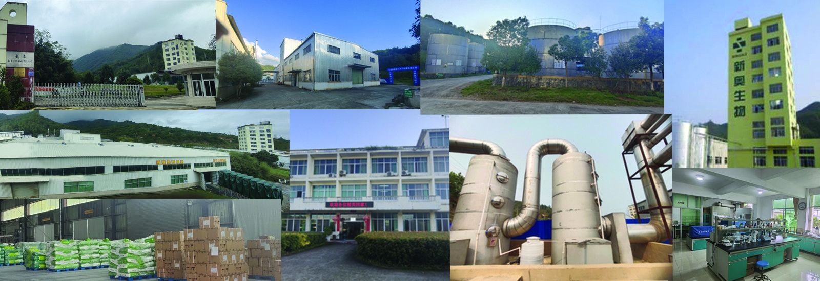 Butyrate à chaîne courte d'acides gras