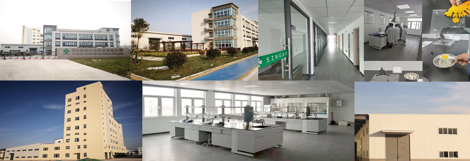 Butyrate enduit de sodium