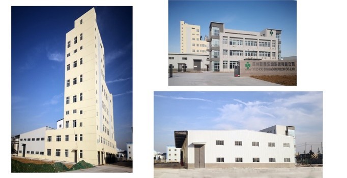 Singao (Xiamen) Agribusiness Development Co., Ltd. ligne de production en usine
