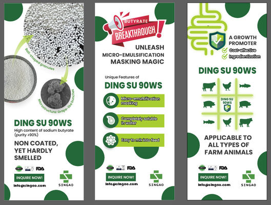 Butyrate de sodium inodore non revêtu 90% pour l'eau