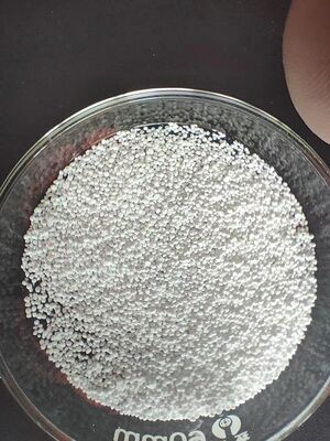 Le butyrate de sodium recouvert de 50% de butyrate de sodium pour la promotion de la croissance sans odeur