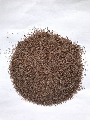 probiotique Clostridium butyricum