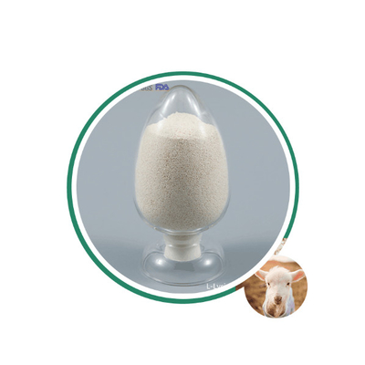 Libération lente 80% butyrate de calcium revêtu 50% plus butyrate de sodium 30% CAS 5743-36-2 Pour l'eau