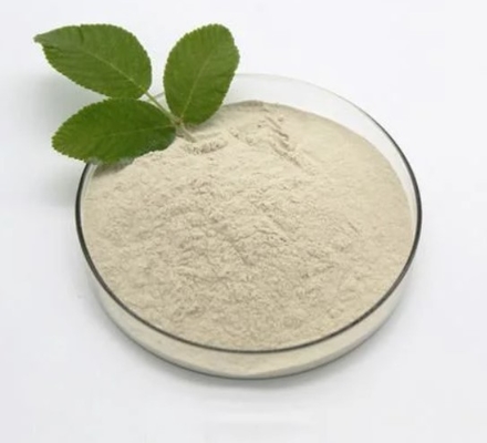 Le butyrate de sodium de Bacillus subtilis 90% C4H7O2Na saupoudrent CAS 156-54-7
